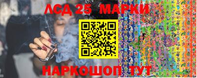 ГАЛЛЮЦИНОГЕННЫЕ ГРИБЫ Сланцы
