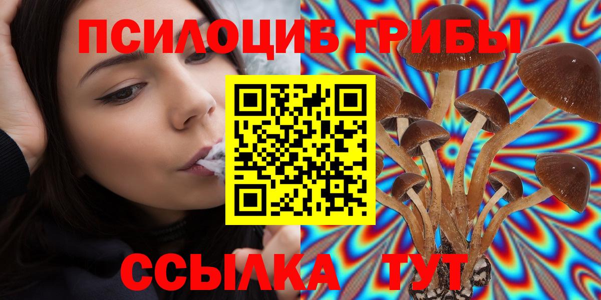 Псилоцибиновые грибы MAGIC MUSHROOMS  Вход с VPN  Алушта 